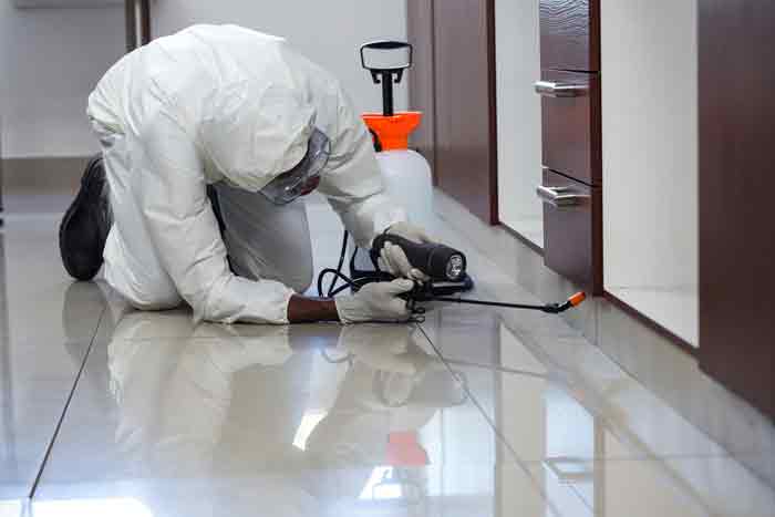 landlord maintenance responsibilities