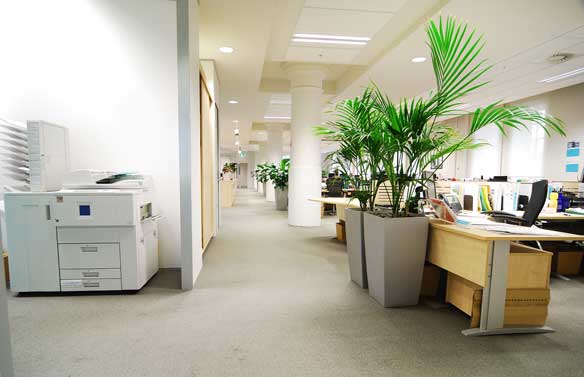 commercial refurbishment
